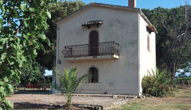 House in the greenery of a large citrus grove, private access to the beach.Relaxation and peace!