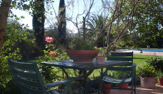 Il Bagolaro Marvellous swimming pool diving board private apartment and garden