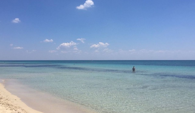 in Direkter Strandlage mit Meerblick, Ruhig, mit Allem Komfort Ausgestattet