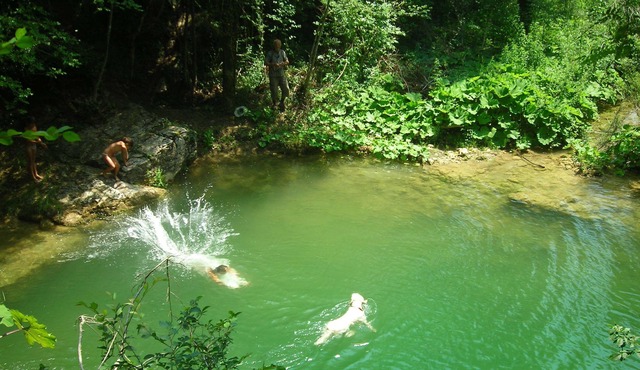 In typical farmhouse in the green with swimming pool, on the border with Tuscany and Lazio 1