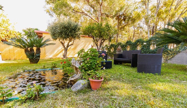 Just a stone's throw from the beach and the pine forest.