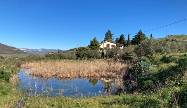 La Casa Delle Olive