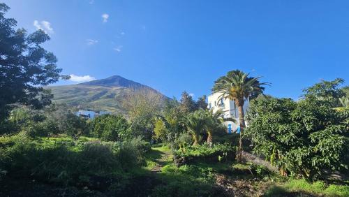 La Casa di Nonna Ida