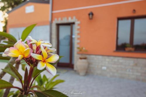 La Pomelia B&b Sofia