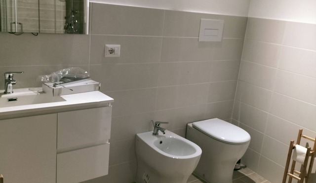 Large and very central apartment just renovated