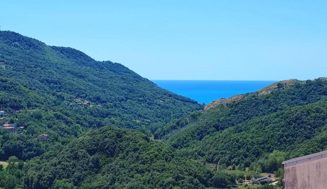 Lumira Vista Panorama