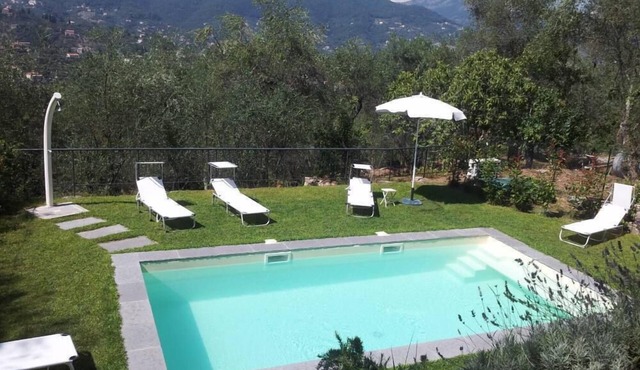 Luxury Apartment 4-7 persons in villa Liberty with olive trees and swimming pool, fine residential area above Santa Margherita Ligure