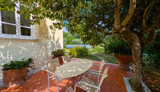 - Luxury Villa - Pool - Garden -Forte dei Marmi Versilia-