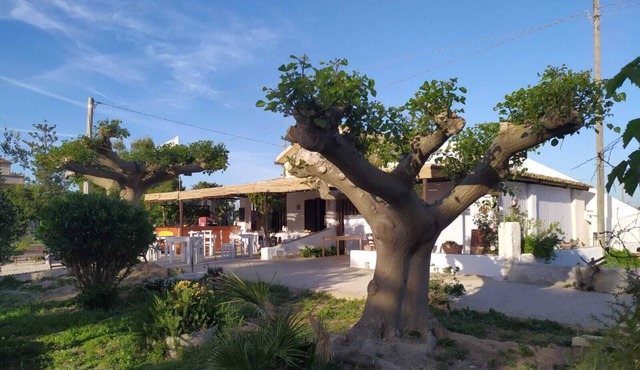 MammaCollette Rent Rooms and Home Restaurant, Bar, Kite, Massages,