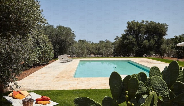 Masseria Terrarossa: Farmhouse Holiday in Puglia, Pet Friendly