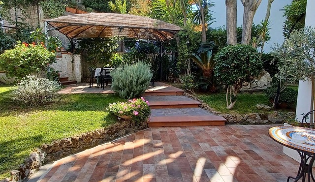 Mediterranean garden