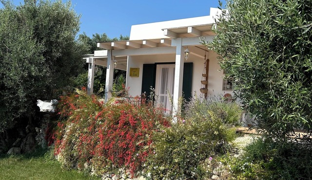 Mediterranean-style villa surrounded by centuries-old olive and lemon trees