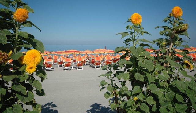 Mediterraneo Palace Hotel