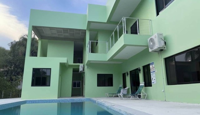 MeMe’s Place – Macaw in Placencia