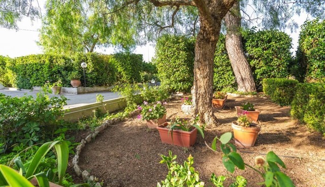 Midori-An 緑庵-The Garden House with large garden for you and your pets