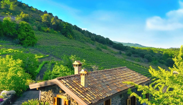 Mondifeso Chalet (Etna+vineyard+jacuzzi)