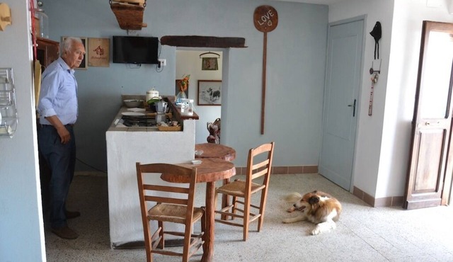 Mountain Paw Home