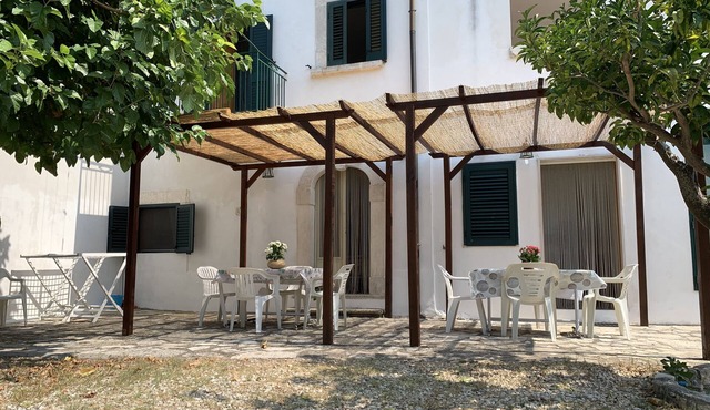 Mulberry Tree House ULIVO