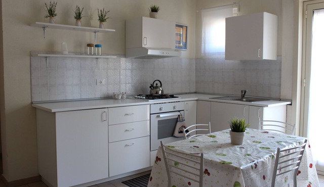 newly renovated apartment