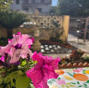 Nonna Ciccina’s House