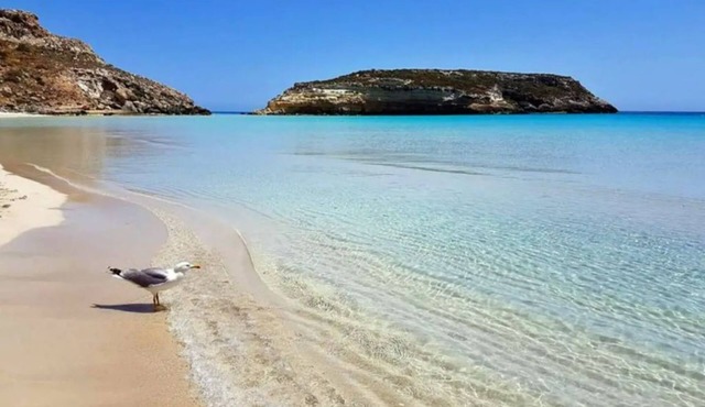 O'SCIà apartment in LAMPEDUSA