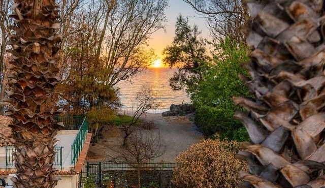Oasi Park Hotel