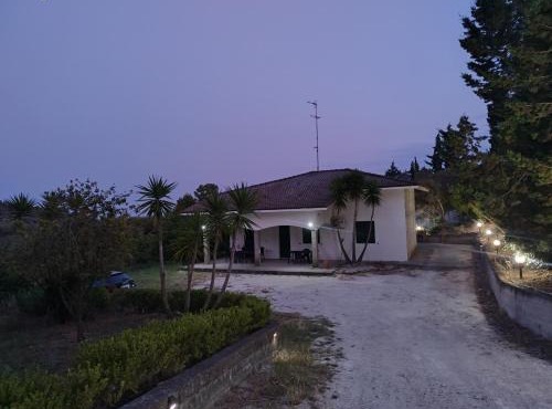 Odori di zagara