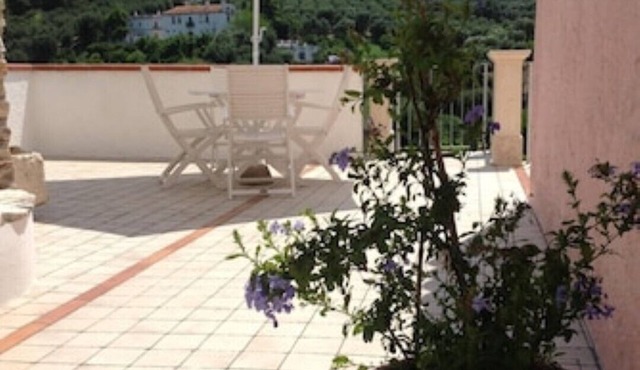 Olive tree - Apartments in old farmhouse