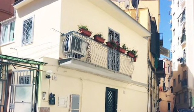 Oly house