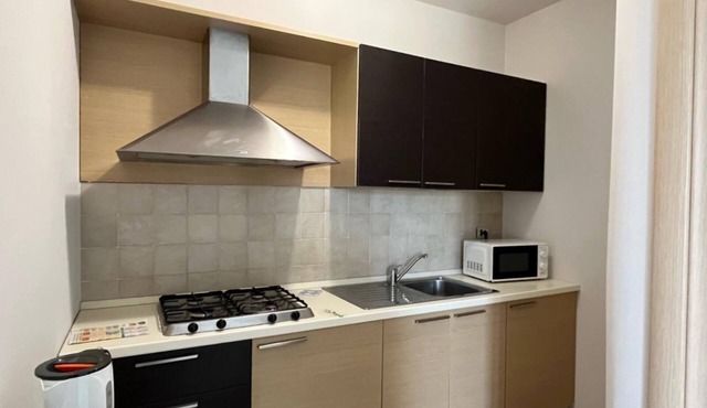 One Bedroom Apartment with Lake View