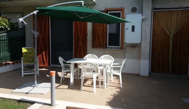 One holiday, many opportunities. Special prices