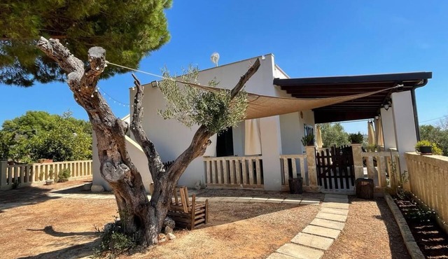 PEPE cottage