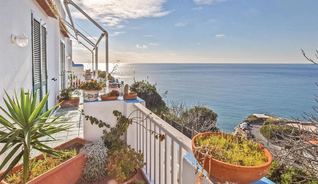 Pet friendly apartment in Sant´Angelo d´Ischia