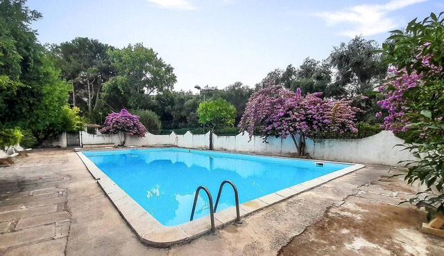 Pet friendly apartment in Vico del Gargano