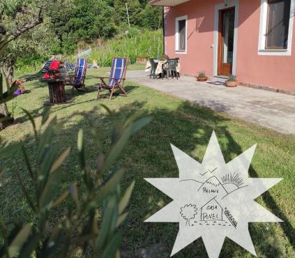 Pizinno CasaPonzi