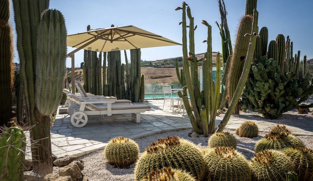 Relais Garden Cactus B&B