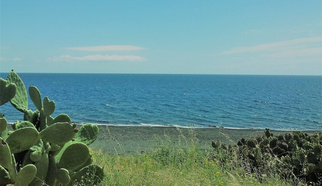 Relaxing holiday by the sea