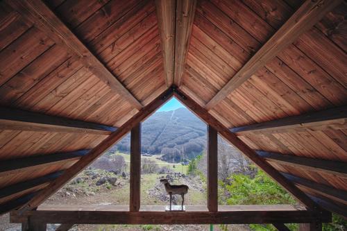 Rifugio del volpacchiotto - Piano Battaglia