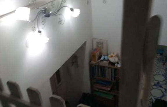 Serena’s nest