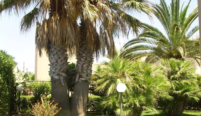 Sicily, Spacious villa by the sea with garden in Santa Maria del Focallo, Ispica