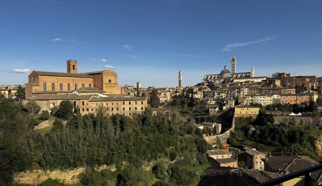 Skyline Siena (moncheri/bluemoon/sunshine)
