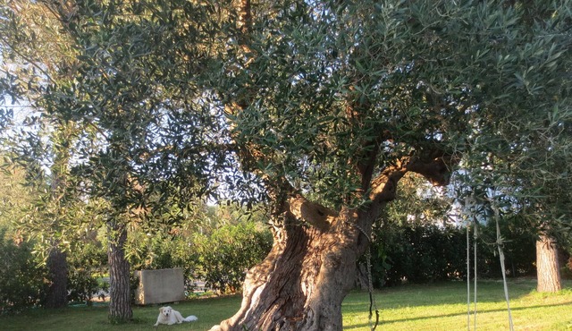Small house in the countryside, the small "Cornula", Salento