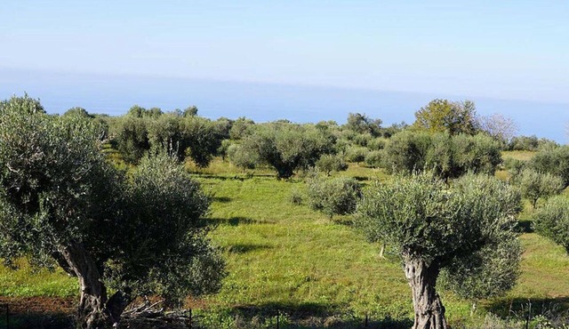 Stunning villa for 2 guests with WIFI, TV, patio, panoramic view and parking