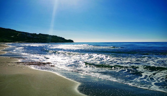Sun Sea Nature b
