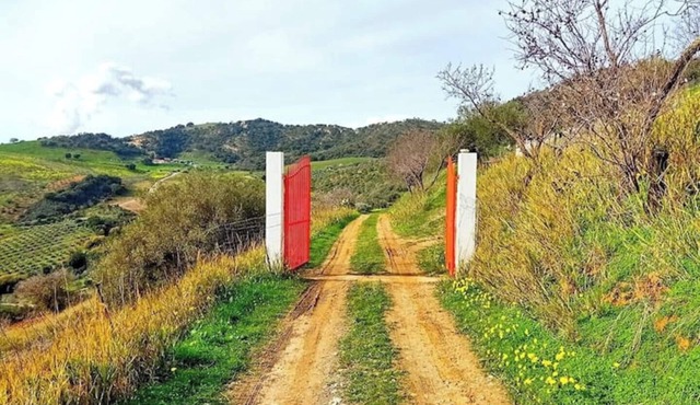 Tenuta Balabaia: Daimyō Suite