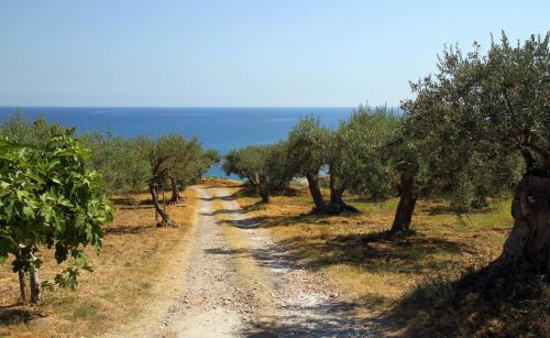 Tenuta Petreria