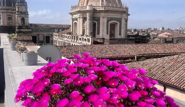 Terrazza Sant'Agata Penthouse