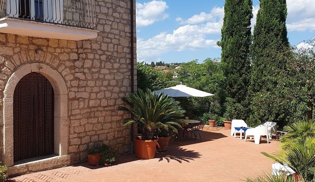 The Garden