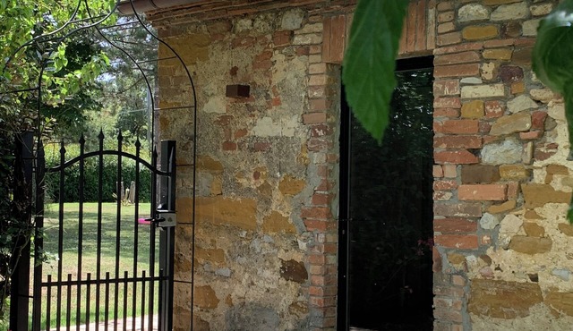 "The Grain" in Trequanda