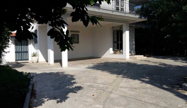 The house surrounded by greenery